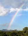 Wheres that pot of gold